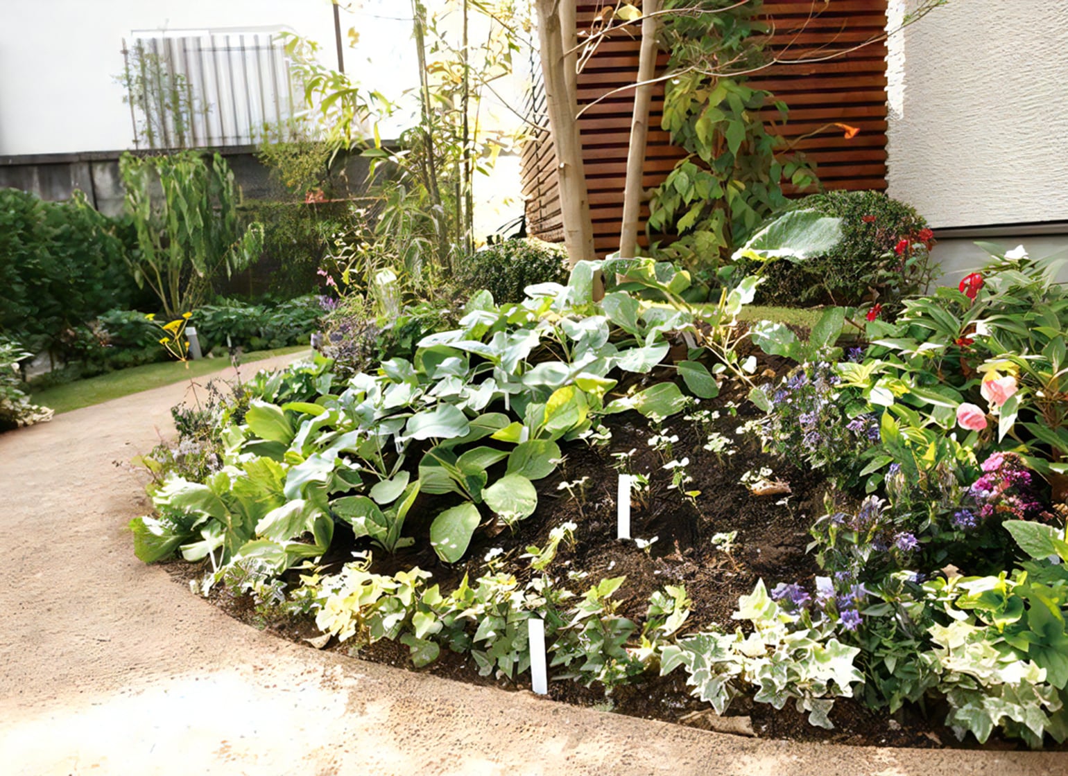 季節の移ろいや収穫する喜びが感じられる家庭菜園