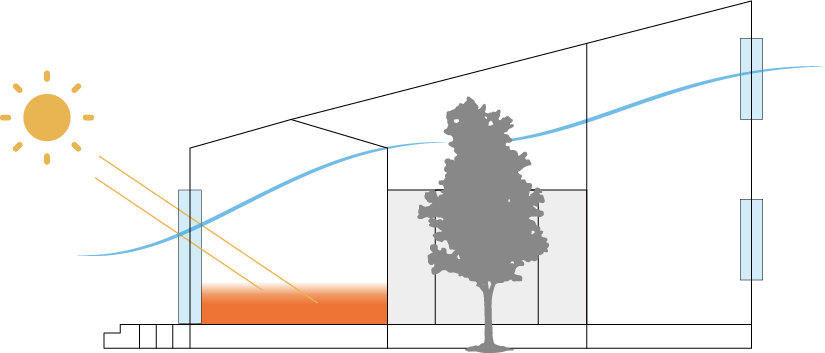 日差しが届く様子
